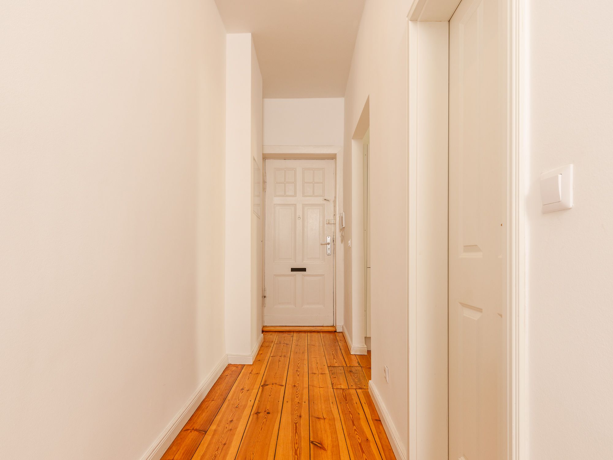 Entrance area and hallway 