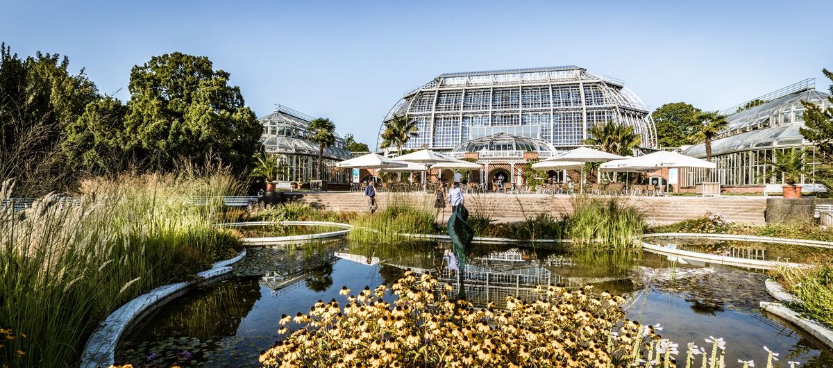 Botanic Garden in Berlin Steglitz