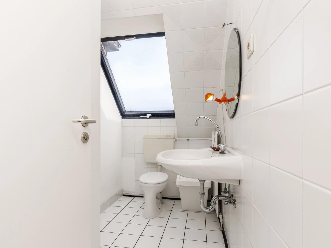 Tagesbelichtetes Gäste-WC mit Dusche Tagesbelichtetes Gäste-WC mit Dusche
