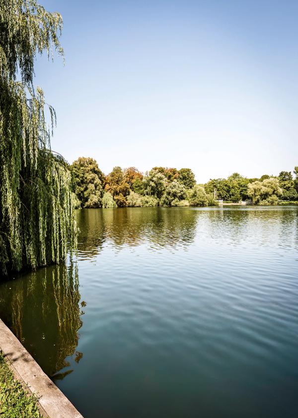 Reinickendorf Bild 2