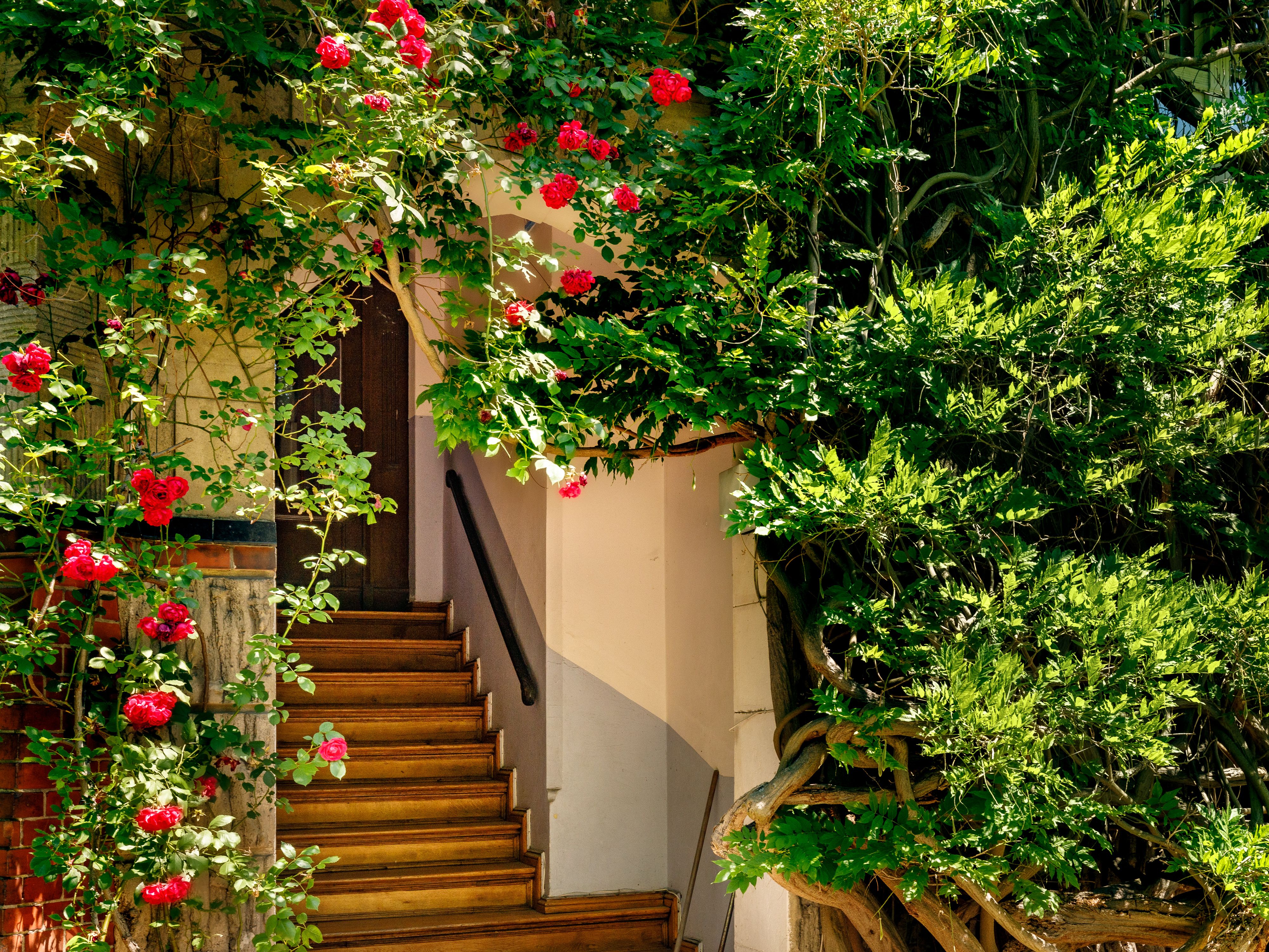 Einladender Eingangsbereich mit Rosenbogen 