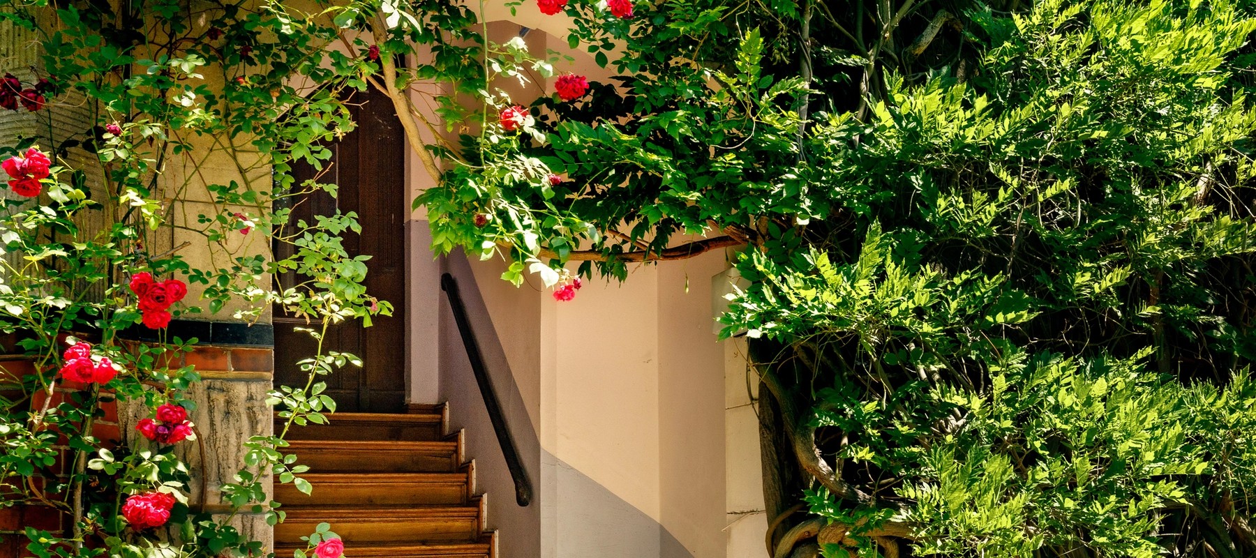 Einladender Eingangsbereich mit Rosenbogen Einladender Eingangsbereich mit Rosenbogen