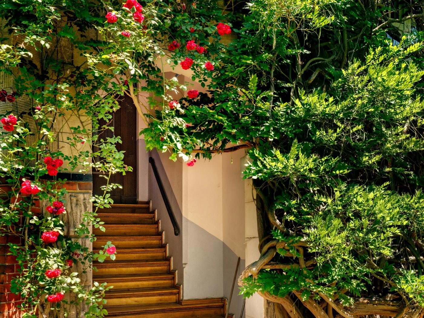 Einladender Eingangsbereich mit Rosenbogen  Einladender Eingangsbereich mit Rosenbogen