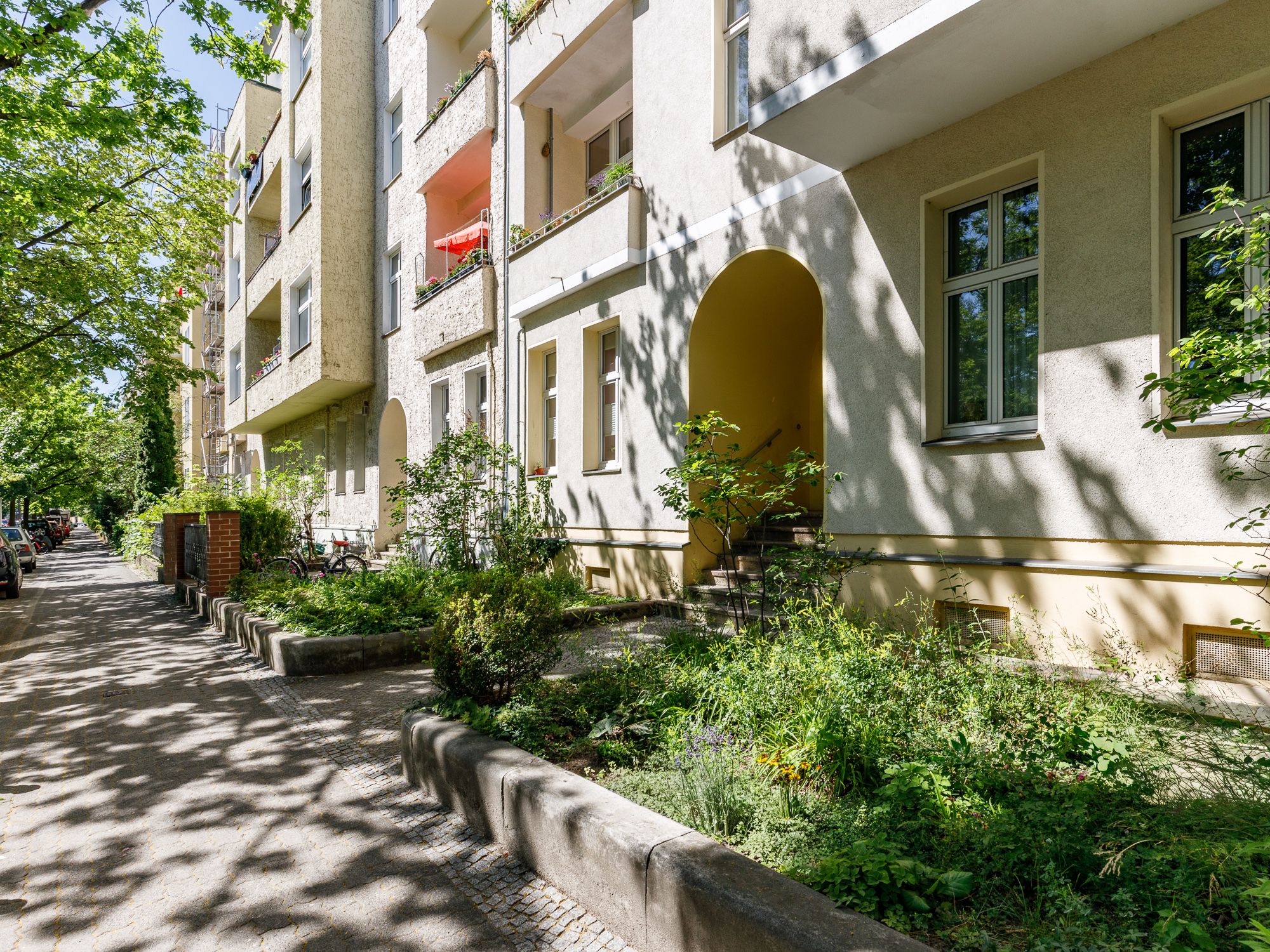 Begrünter Eingangsbereich zum Haus 