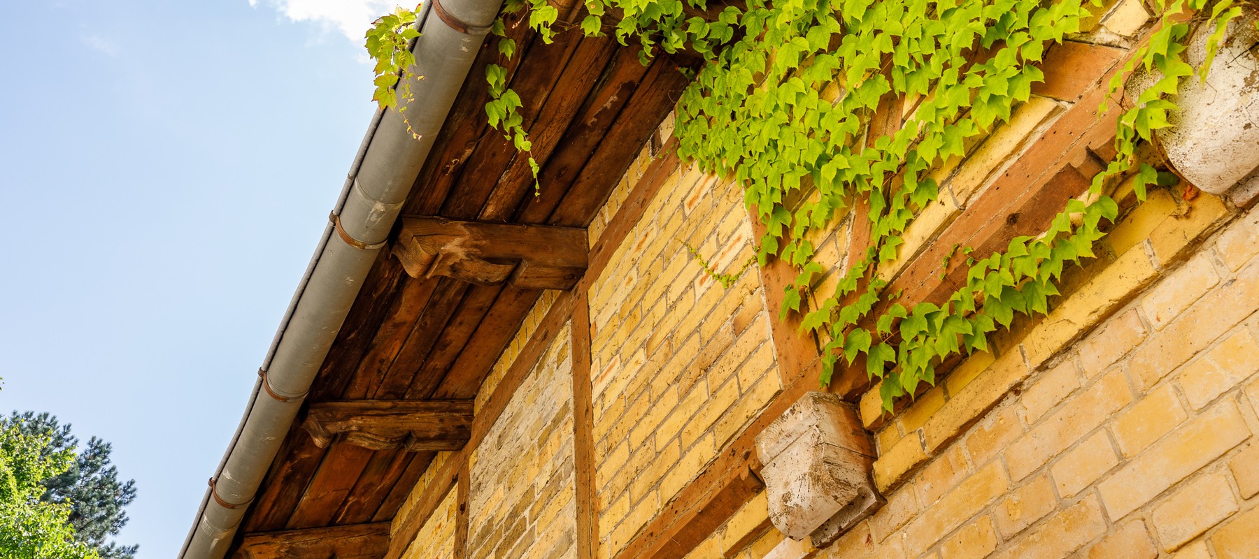 Close-Up of the timber framing Close-Up of the timber framing