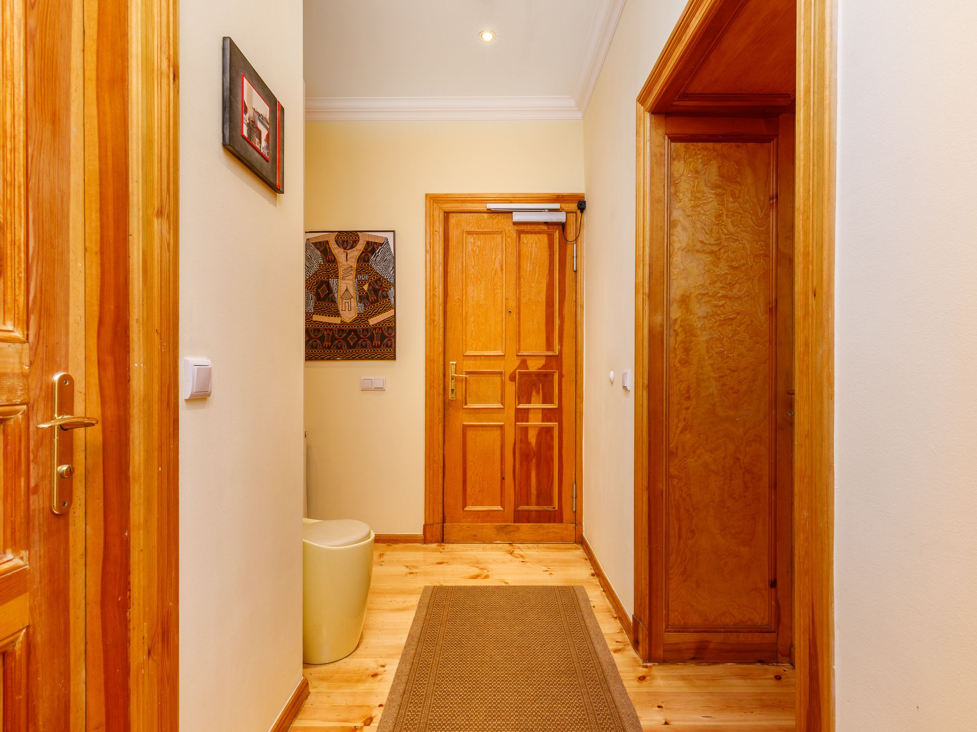 Eingangsbereich mit Dielenfußboden  