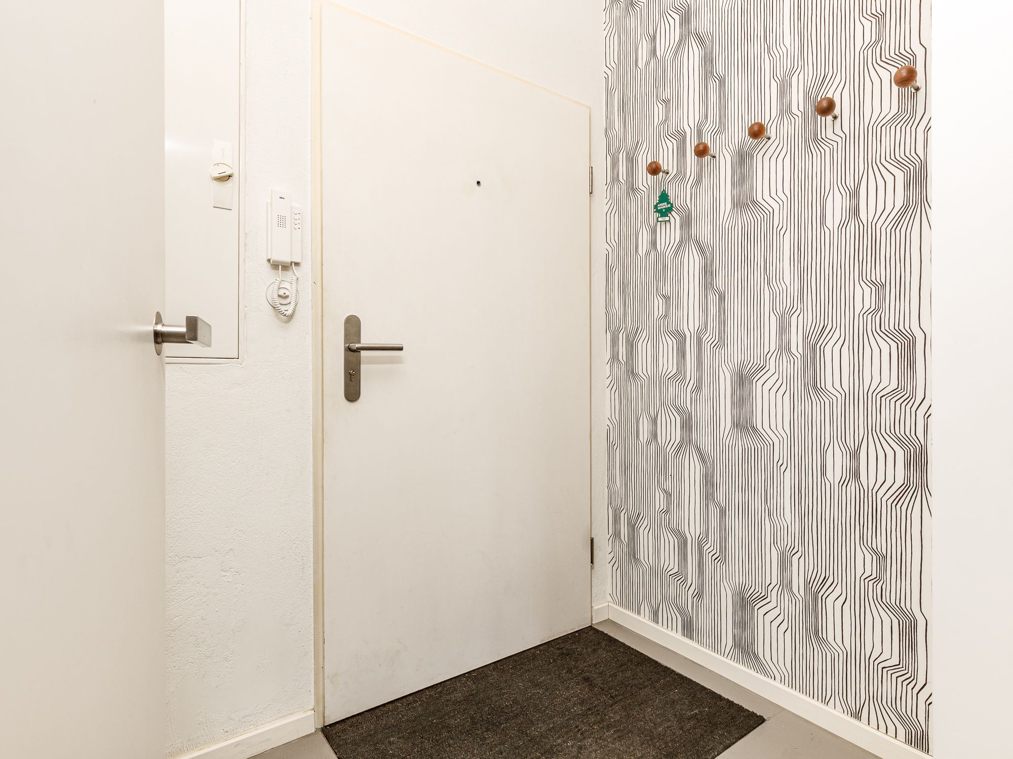 Entrance area with intercom system 