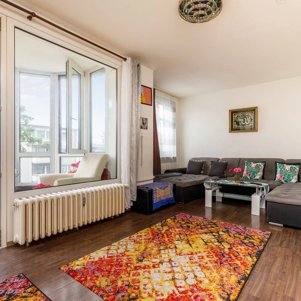 Living room sofa carpet window radiator