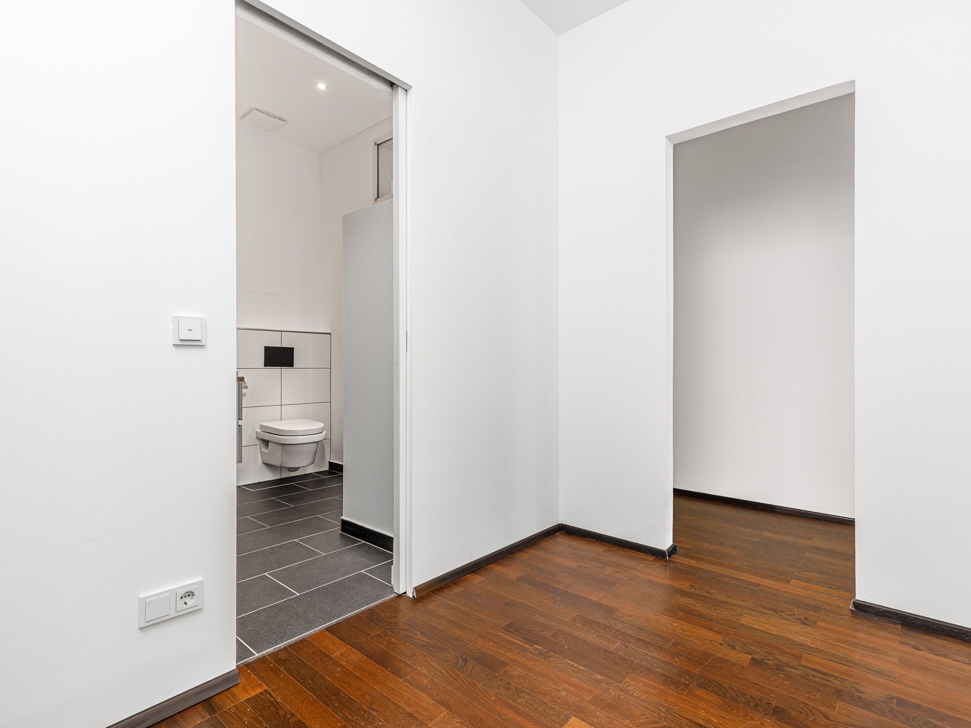 Large walk-in wardrobe / closet