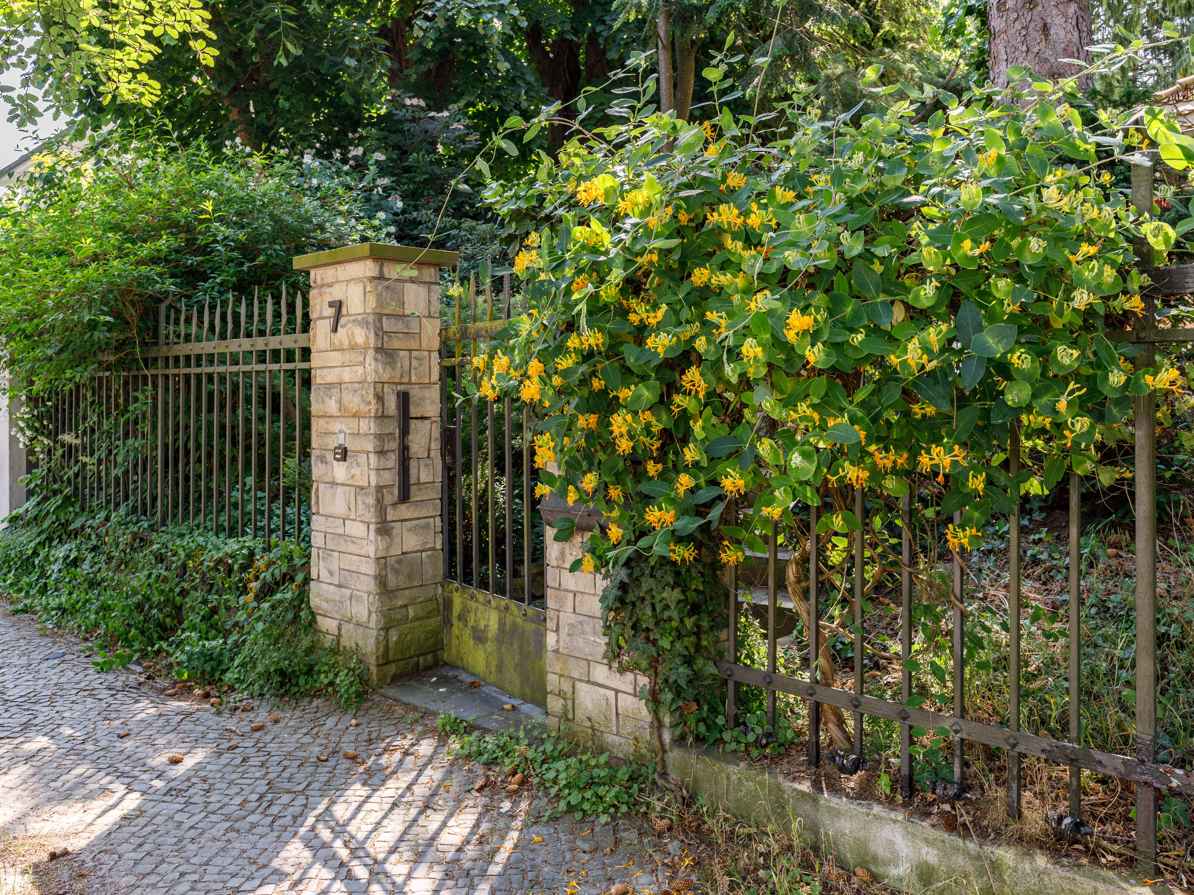 Eleganter Eingang mit antikem Gartenzaun