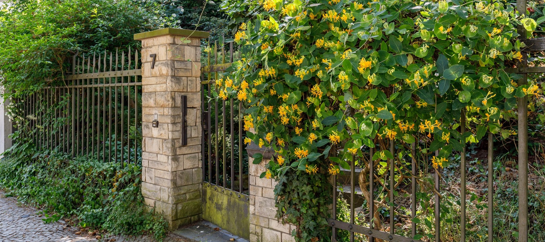 Eleganter Eingang mit antikem Gartenzaun Eleganter Eingang mit antikem Gartenzaun