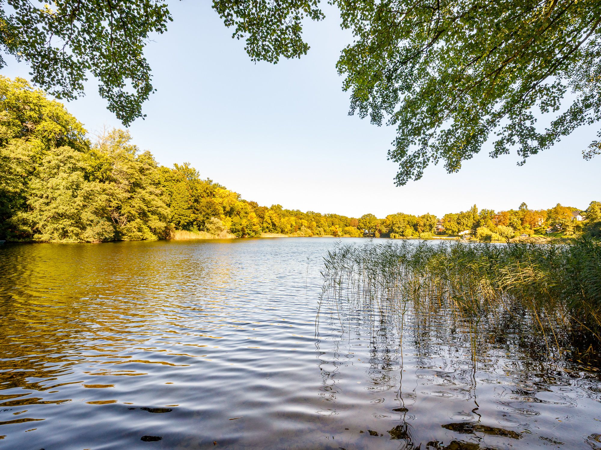 View from the beach on Lake Hundekehle