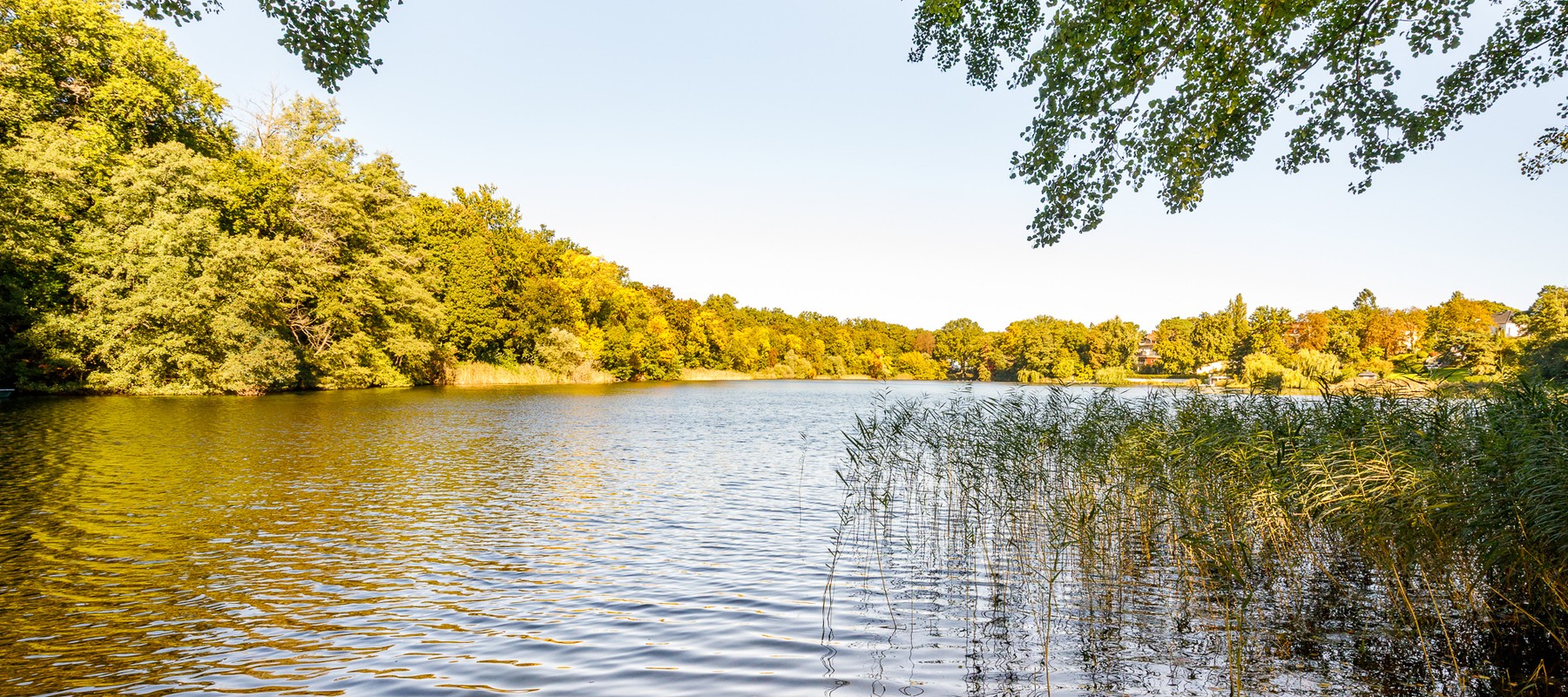 View from the beach on Lake Hundekehle View from the beach on Lake Hundekehle