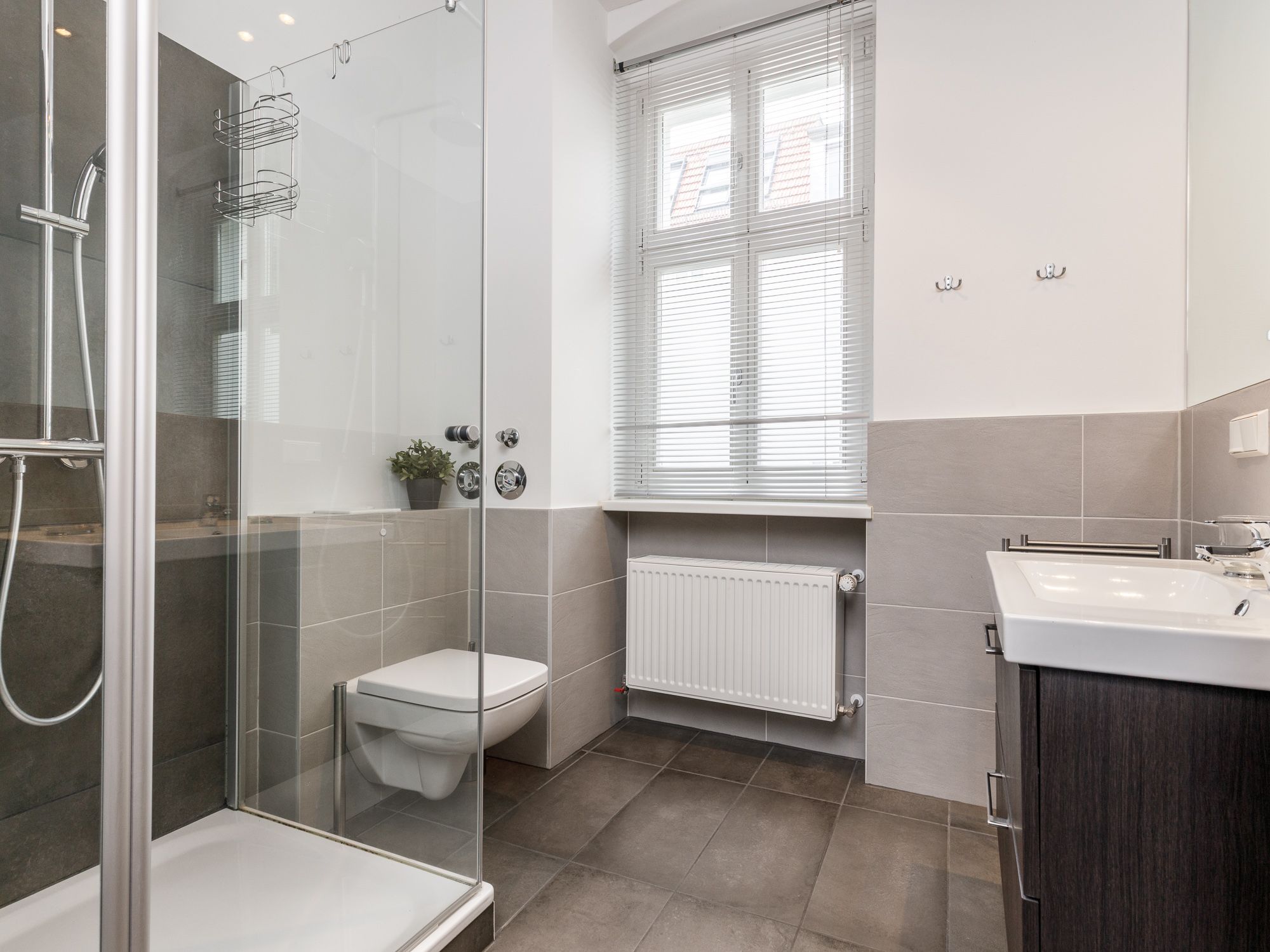 Tagesbelichtetes Bad mit Dusche 