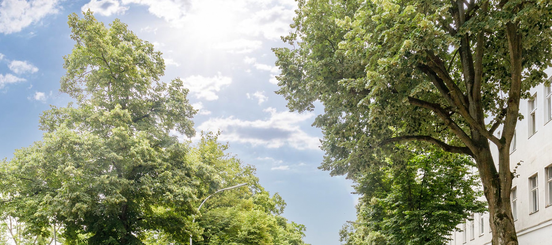Ansicht der Straße / Umgebung Ansicht der Straße / Umgebung