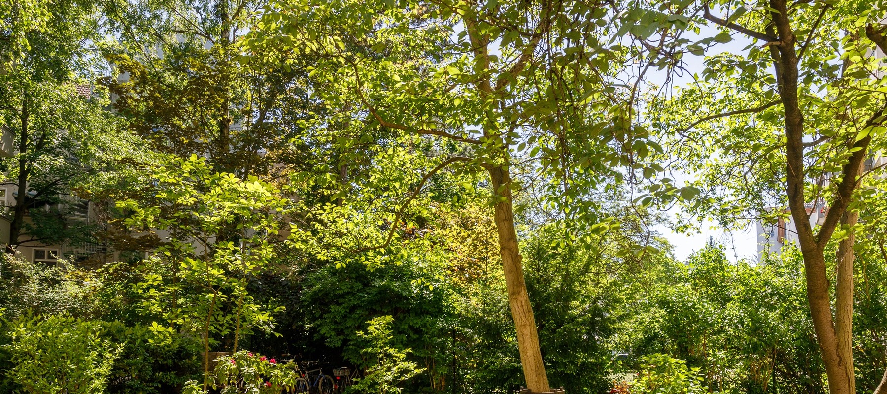 Begrünter Innenhof mit Sitzmöglichkeiten Begrünter Innenhof mit Sitzmöglichkeiten