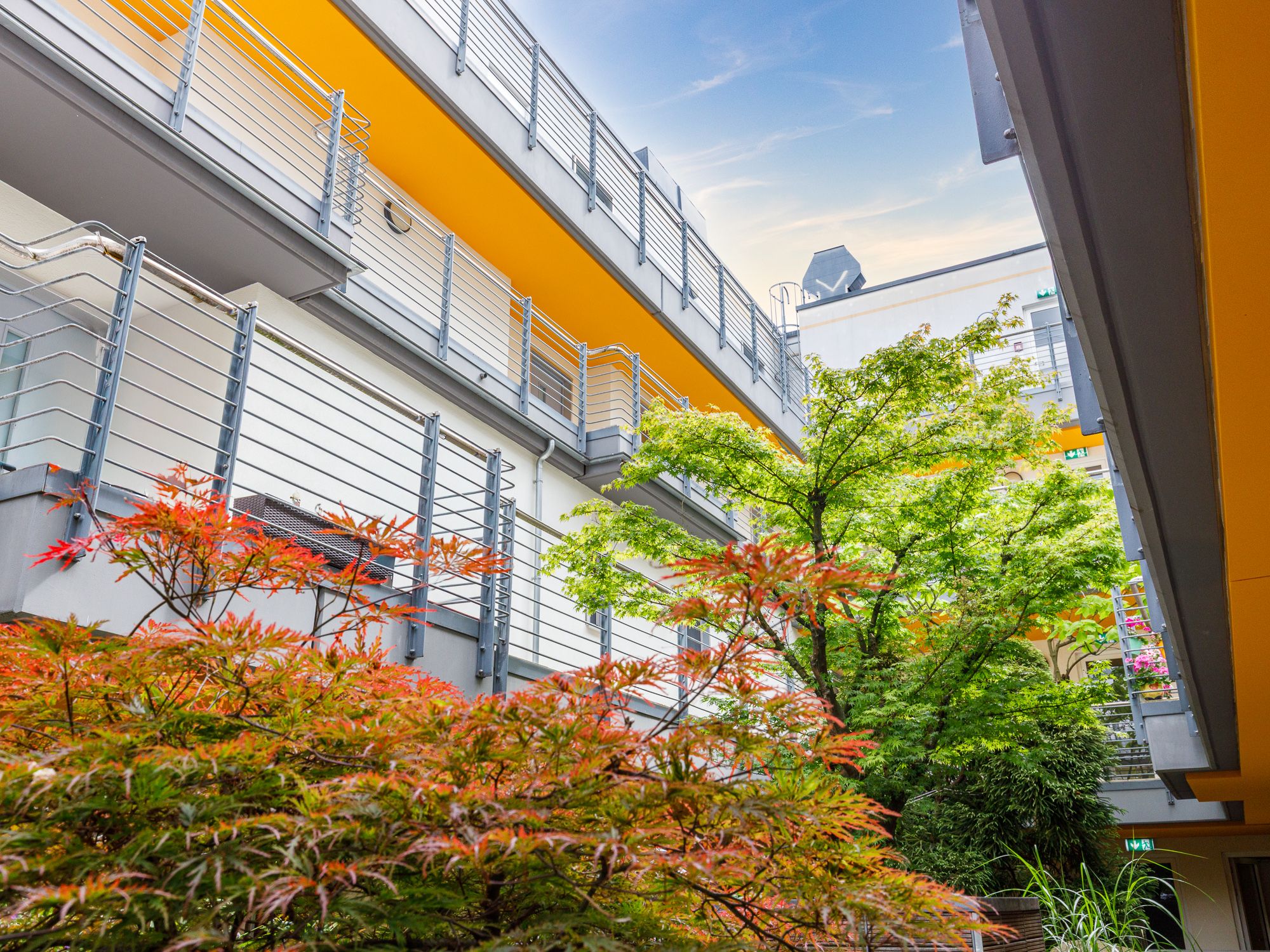 Begrünter Innenhof mit Baumbestand 