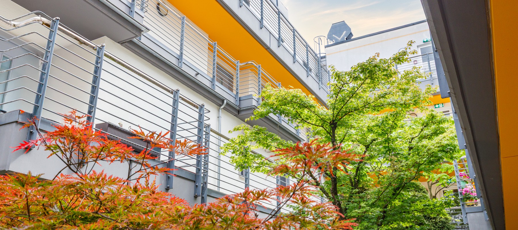 Green courtyard with trees Green courtyard with trees