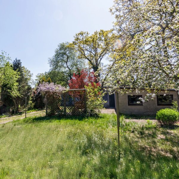 Rasenfläche Baugrundstück Bäume Altbestand