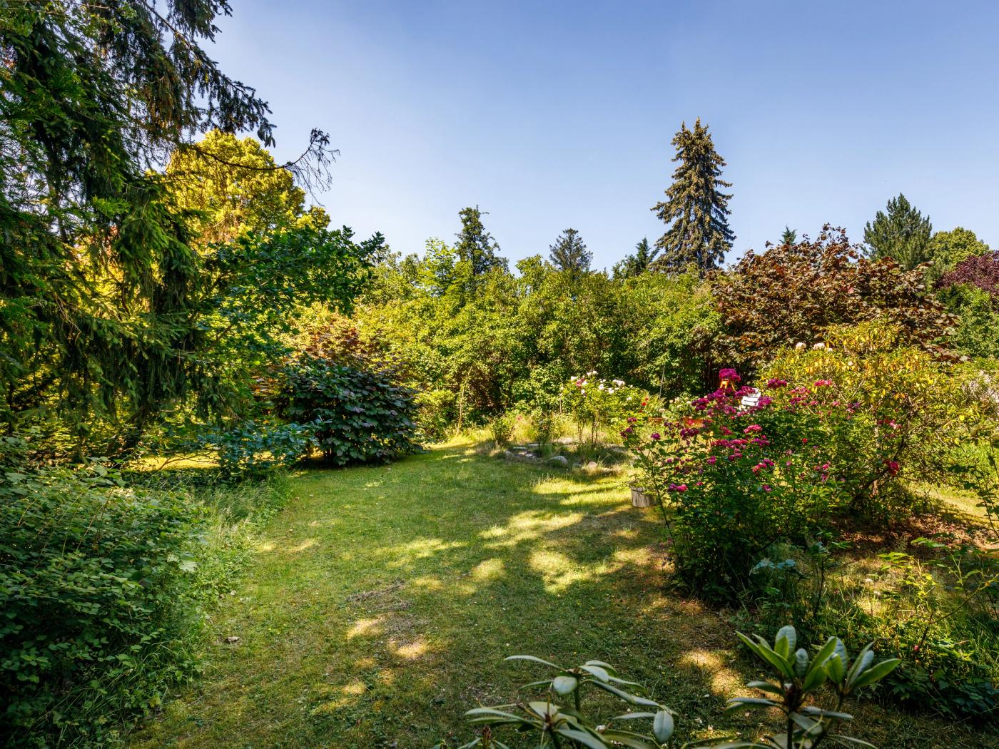 Ruhiger Garten mit bezaubernder Natur Ruhiger Garten mit bezaubernder Natur