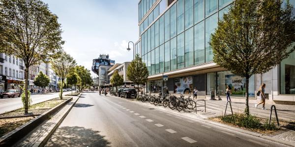 Steglitz Bild 2