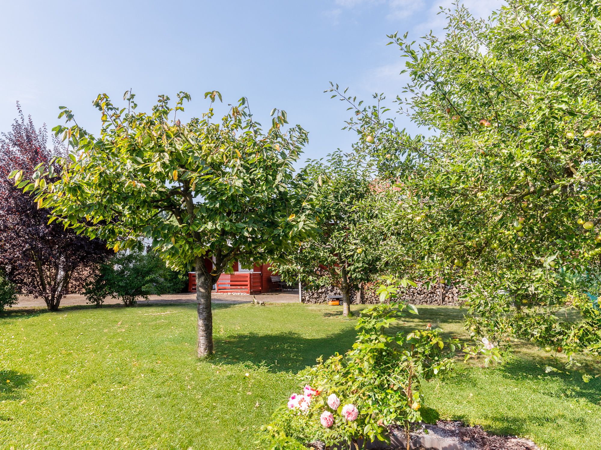 Großzügiger Privatgarten mit Bepflanzung 