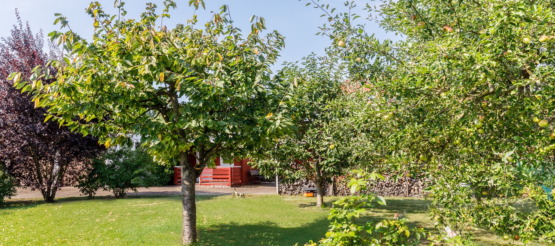 Großzügiger Privatgarten mit Bepflanzung Großzügiger Privatgarten mit Bepflanzung