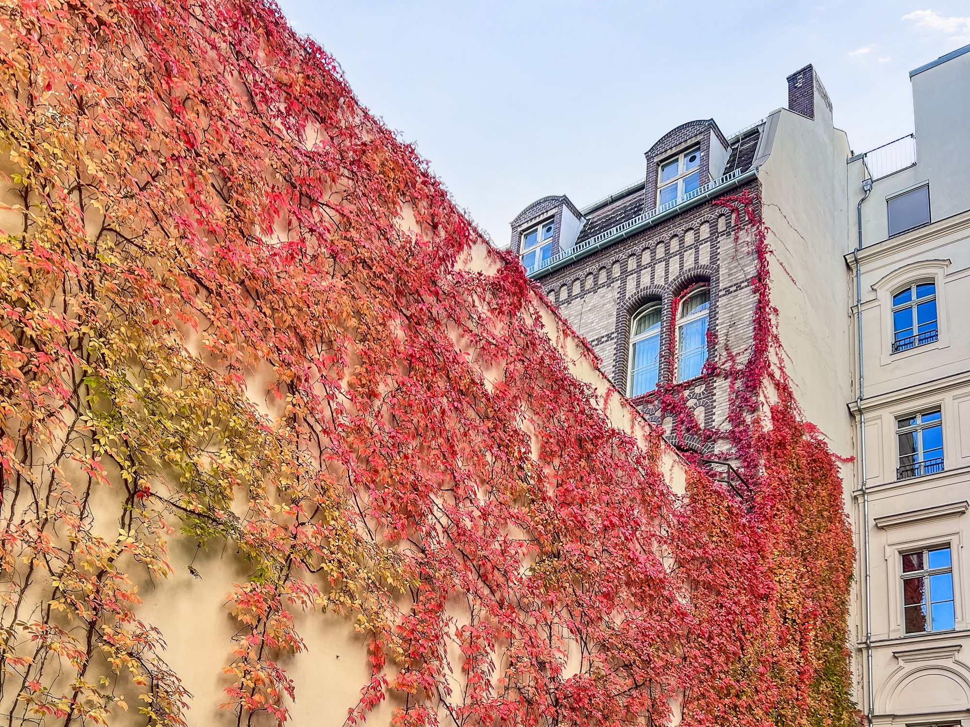 Detailaufnahme des Grundstücks 