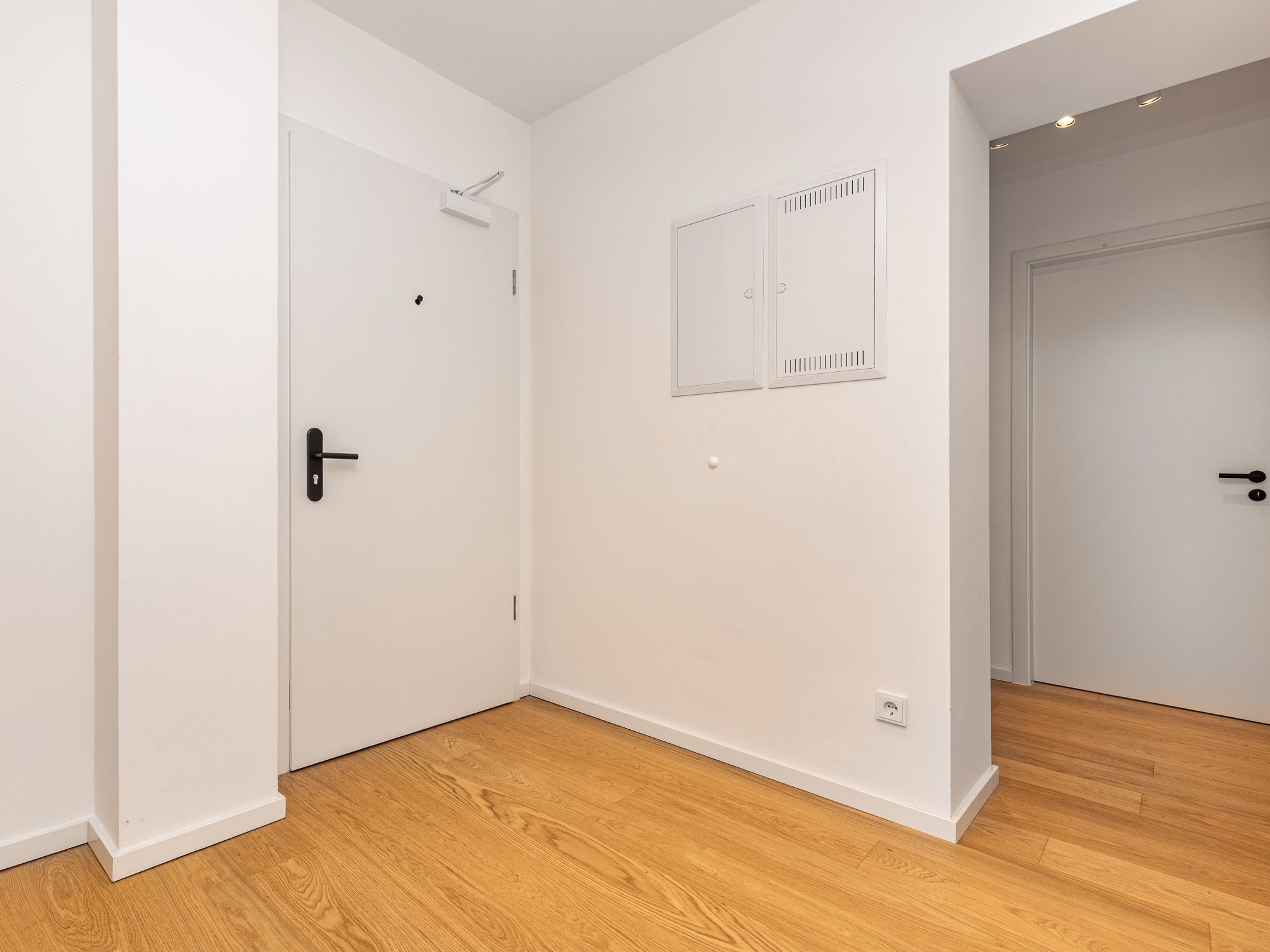 Entrance area with intercom and security door 