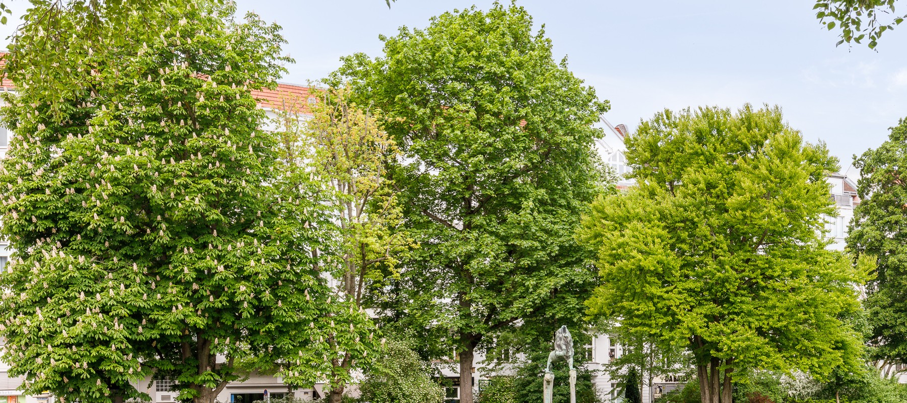 Park zwischen Güntzelkiez & Bayerischen Platz Park zwischen Güntzelkiez & Bayerischen Platz
