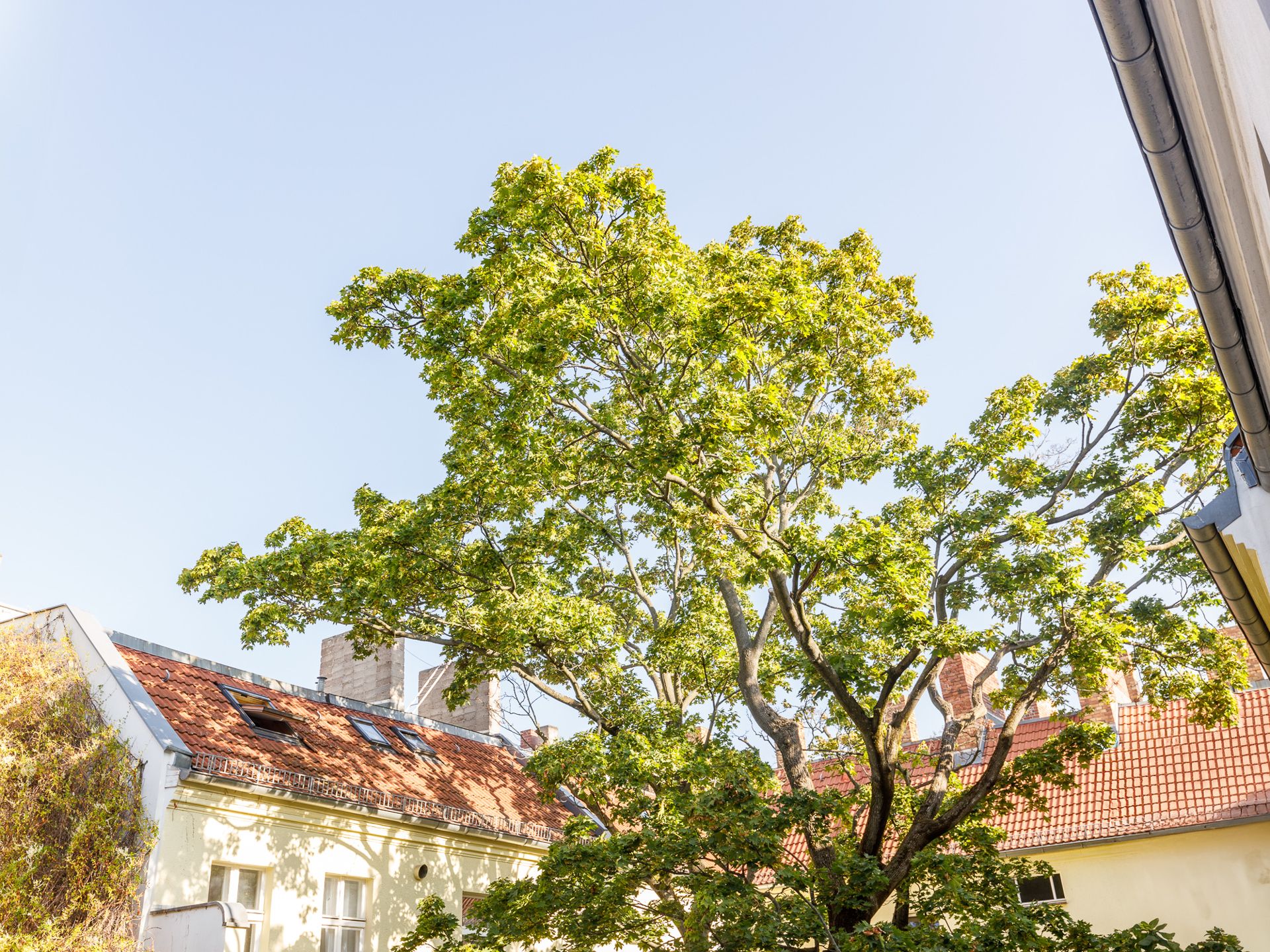 Ansicht in den Innenhof