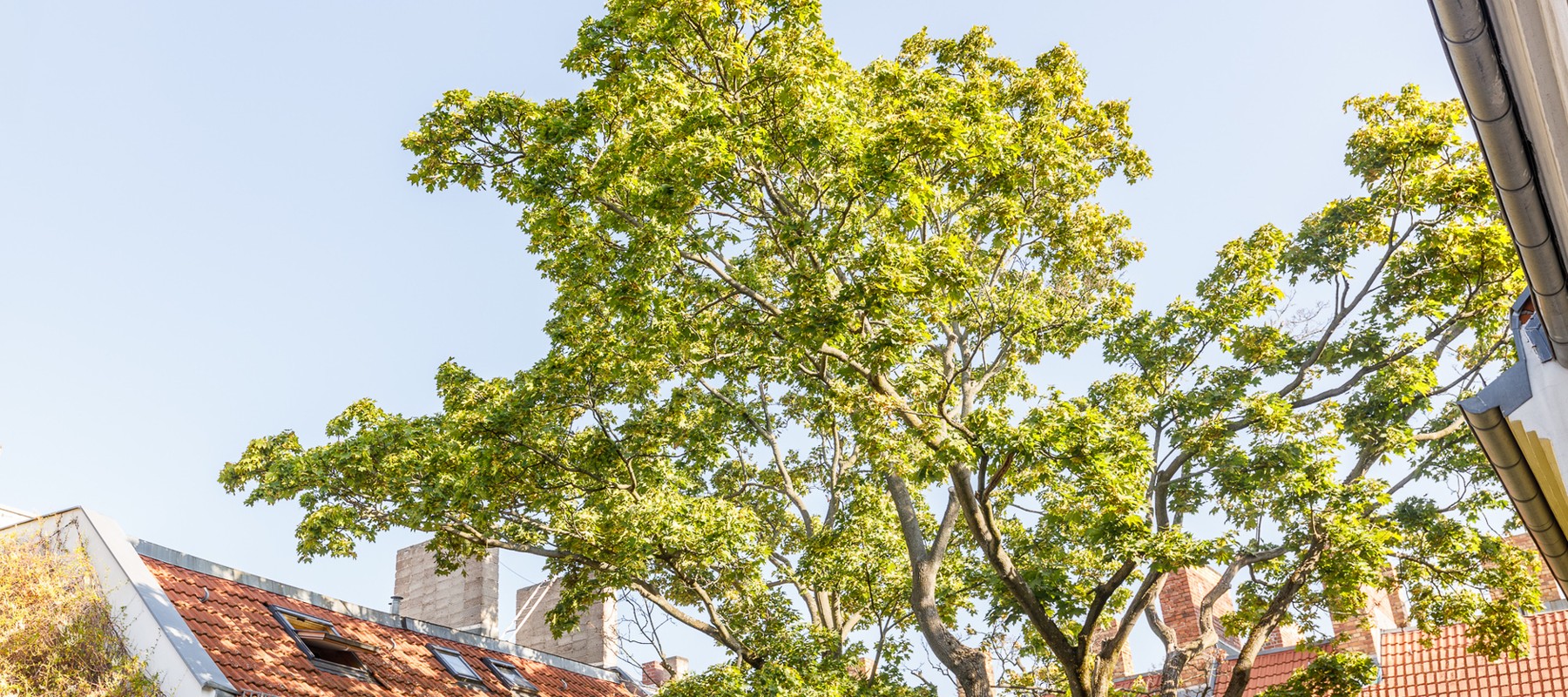 Ansicht in den Innenhof Ansicht in den Innenhof