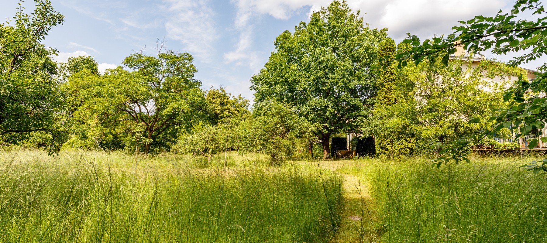 Charmante Remise im UNESCO-Weltkulturerbe: Kamin, Terrasse & idyllische Lage zwischen Jagdschloss Glienicke & Griebnitzsee