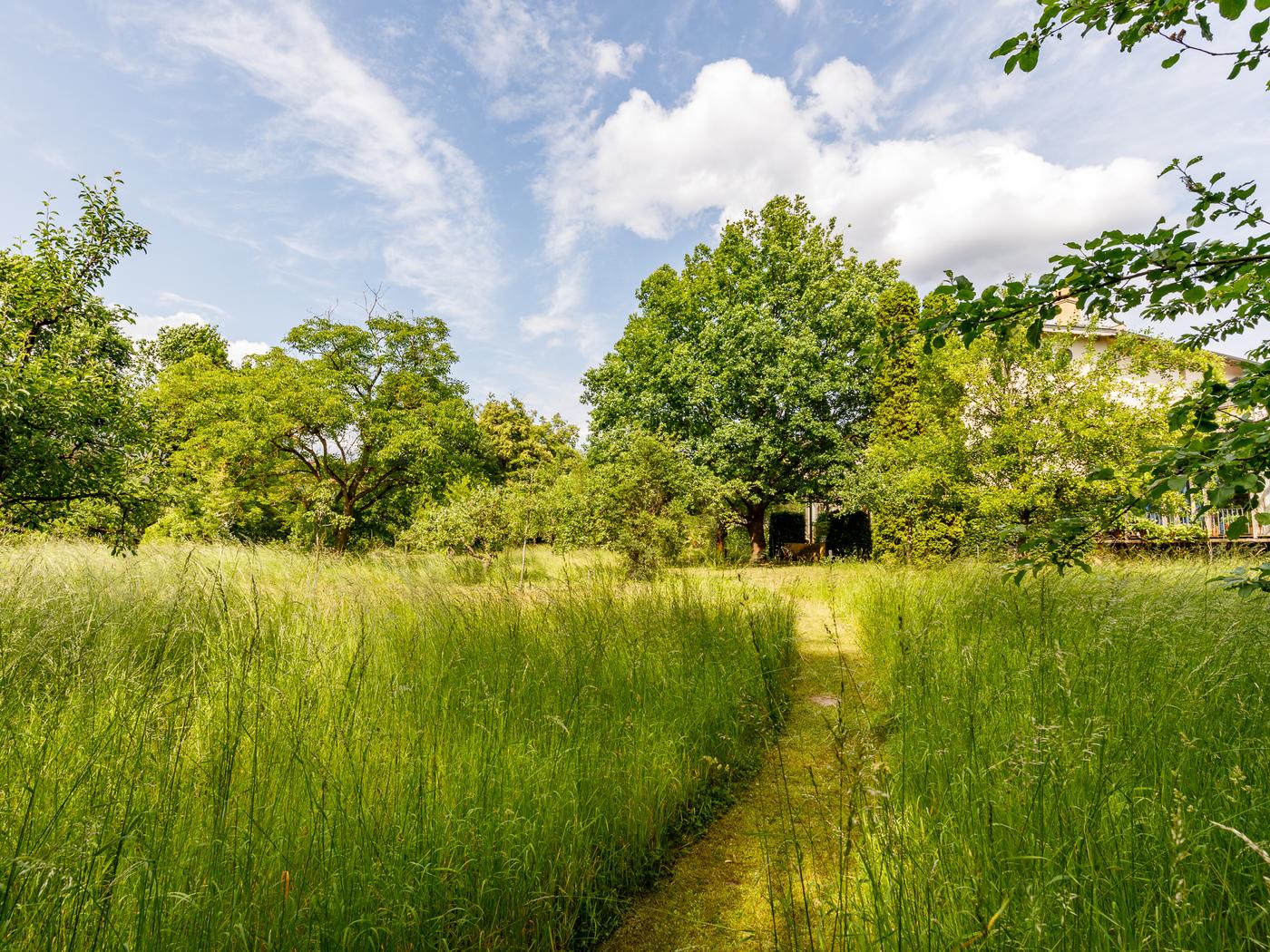 Charmante Remise im UNESCO-Weltkulturerbe: Kamin, Terrasse & idyllische Lage zwischen Jagdschloss Glienicke & Griebnitzsee