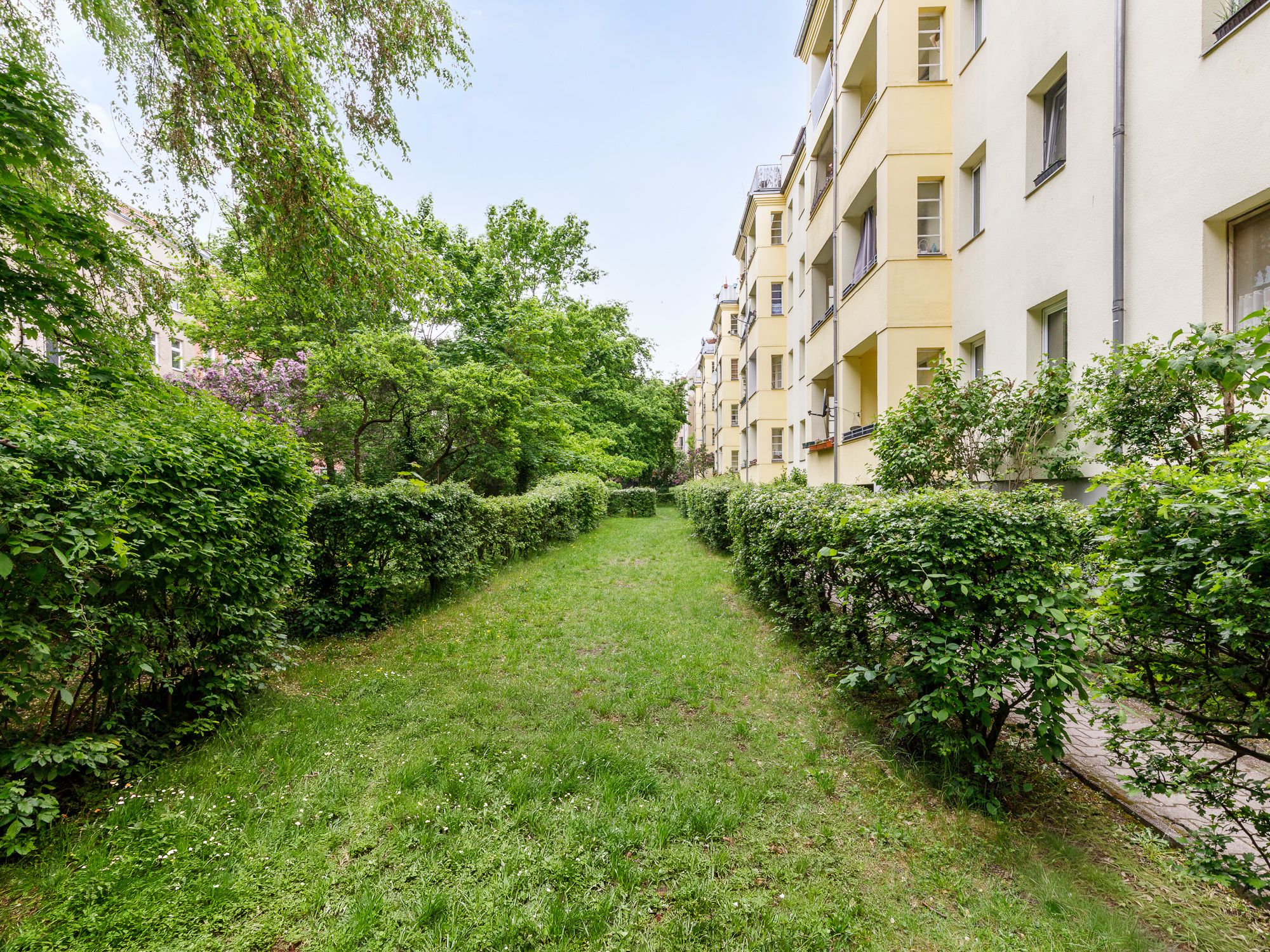 Quit courtyard with attractive landscaping