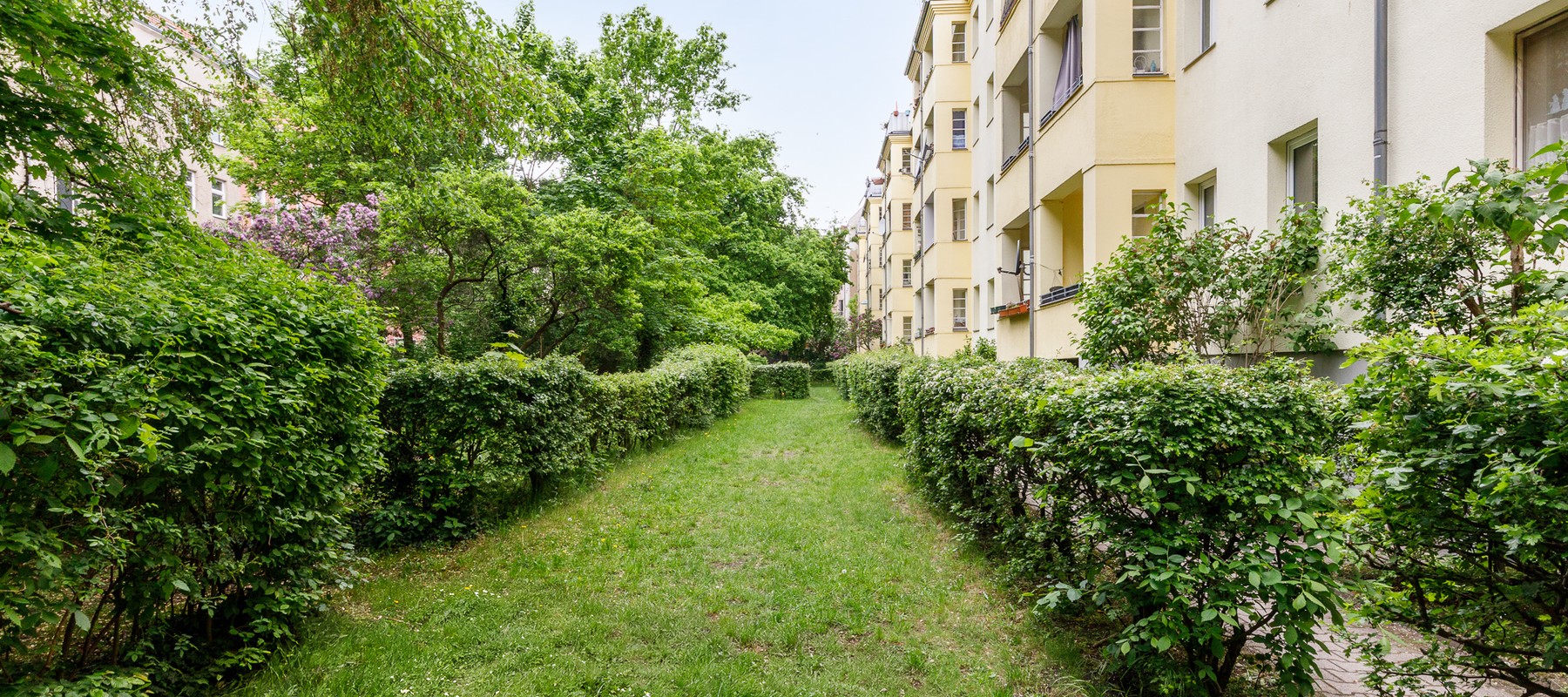 Quit courtyard with attractive landscaping Quit courtyard with attractive landscaping