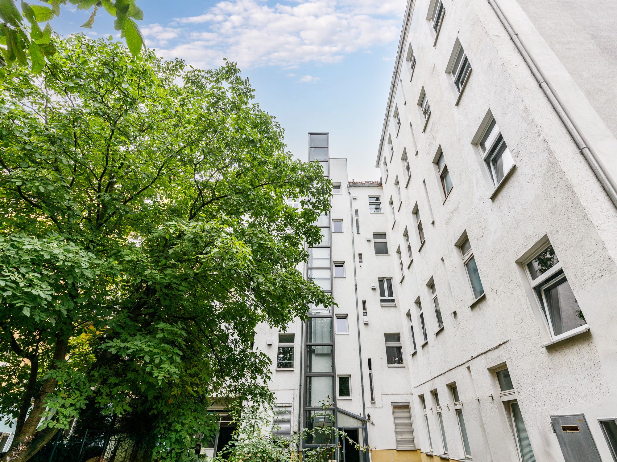 Courtyard with Trees