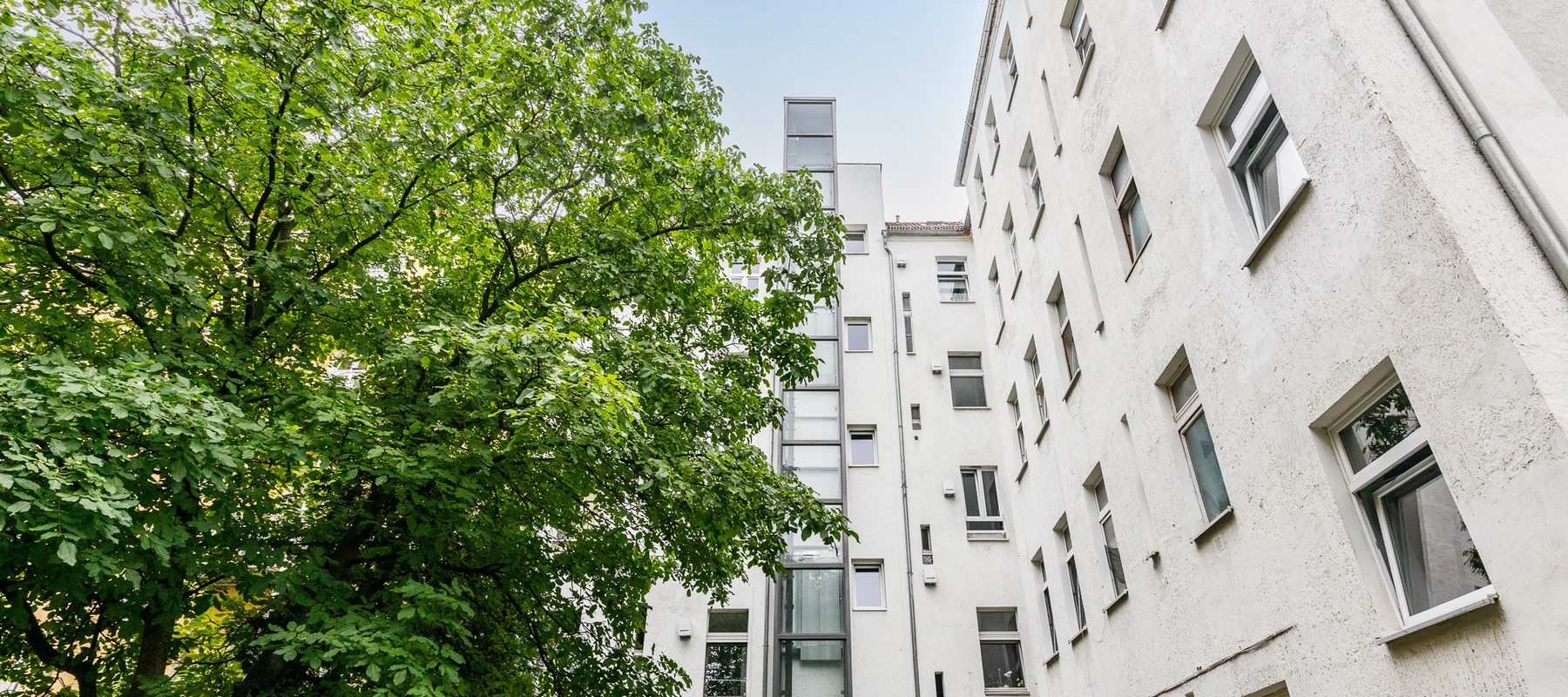 Courtyard with Trees Courtyard with Trees