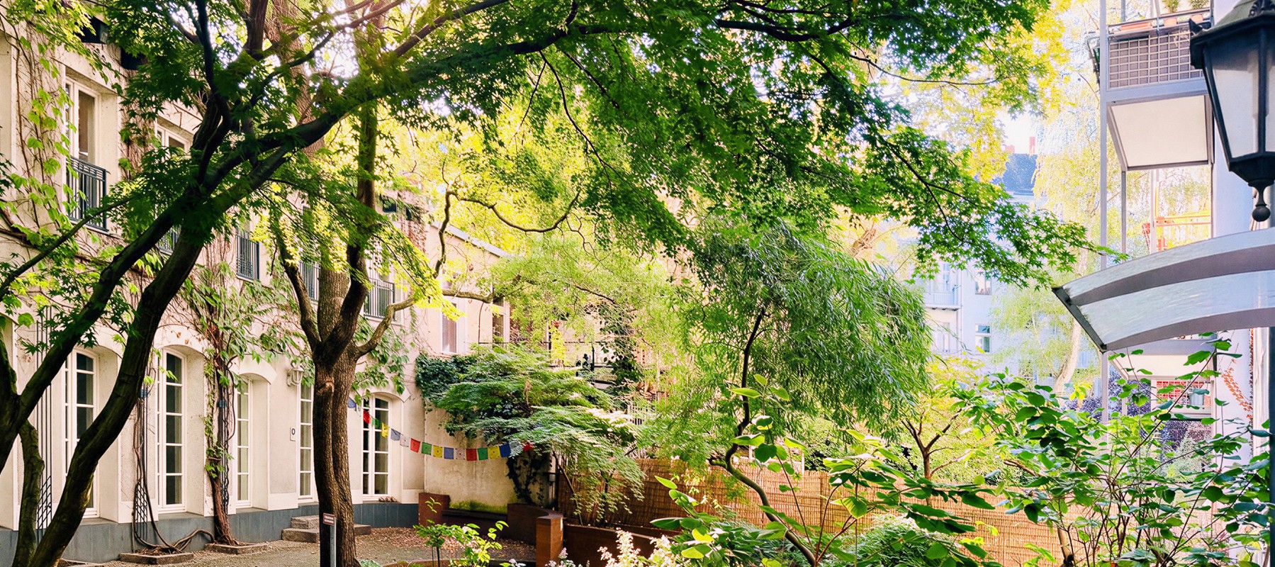 Begrünter Innenhof für die Gemeinschaft Begrünter Innenhof für die Gemeinschaft