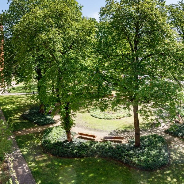 Garten Bäume Gebäude Wege