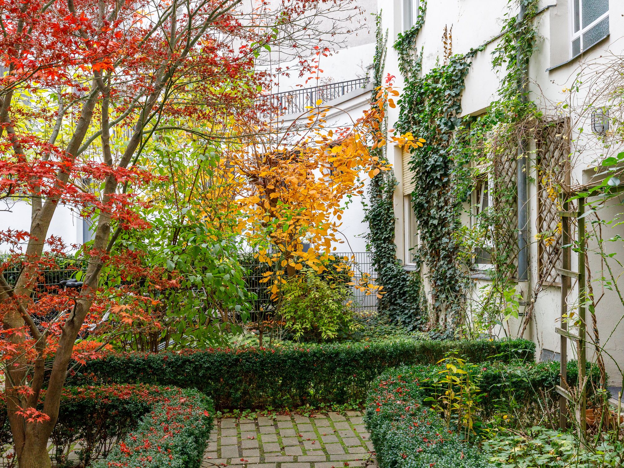 Begrünter Innenhof mit Buchsbaumhecke 