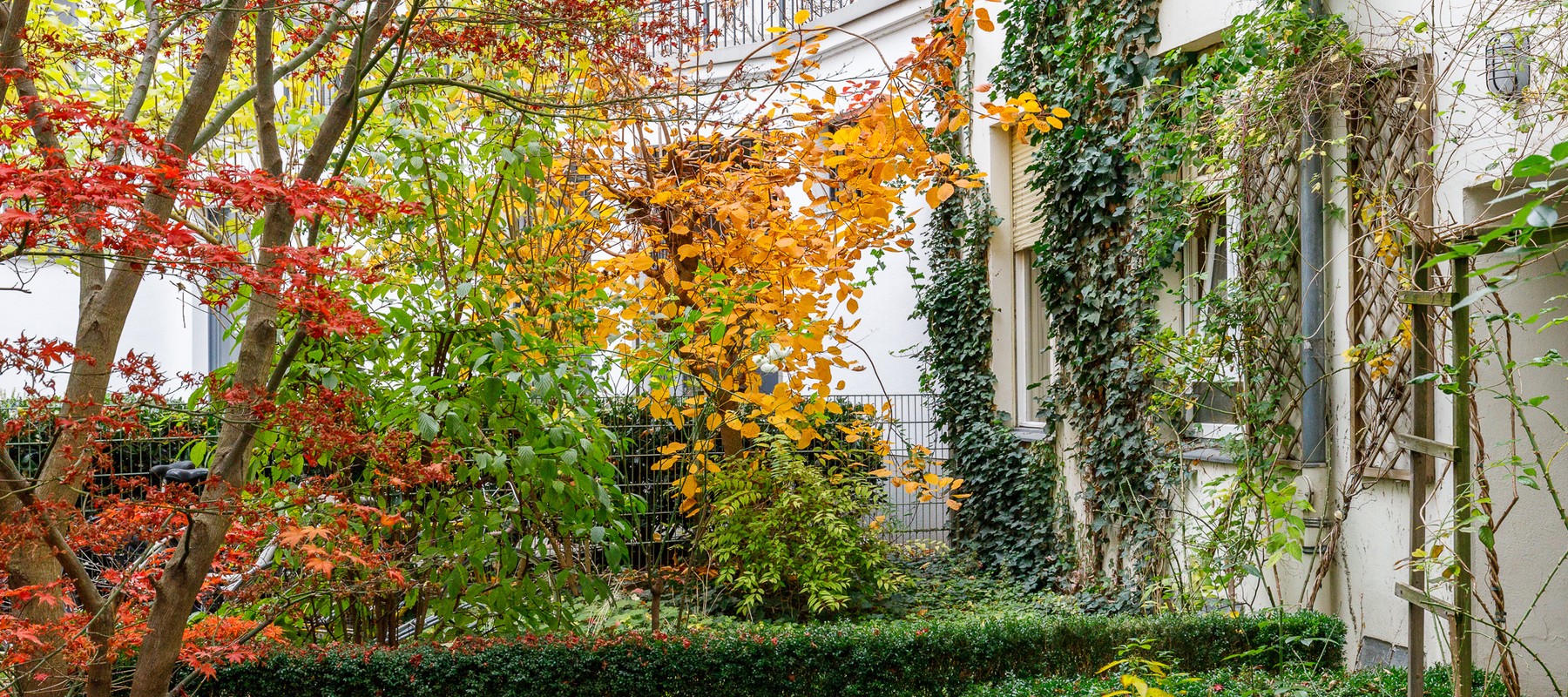 Begrünter Innenhof mit Buchsbaumhecke Begrünter Innenhof mit Buchsbaumhecke