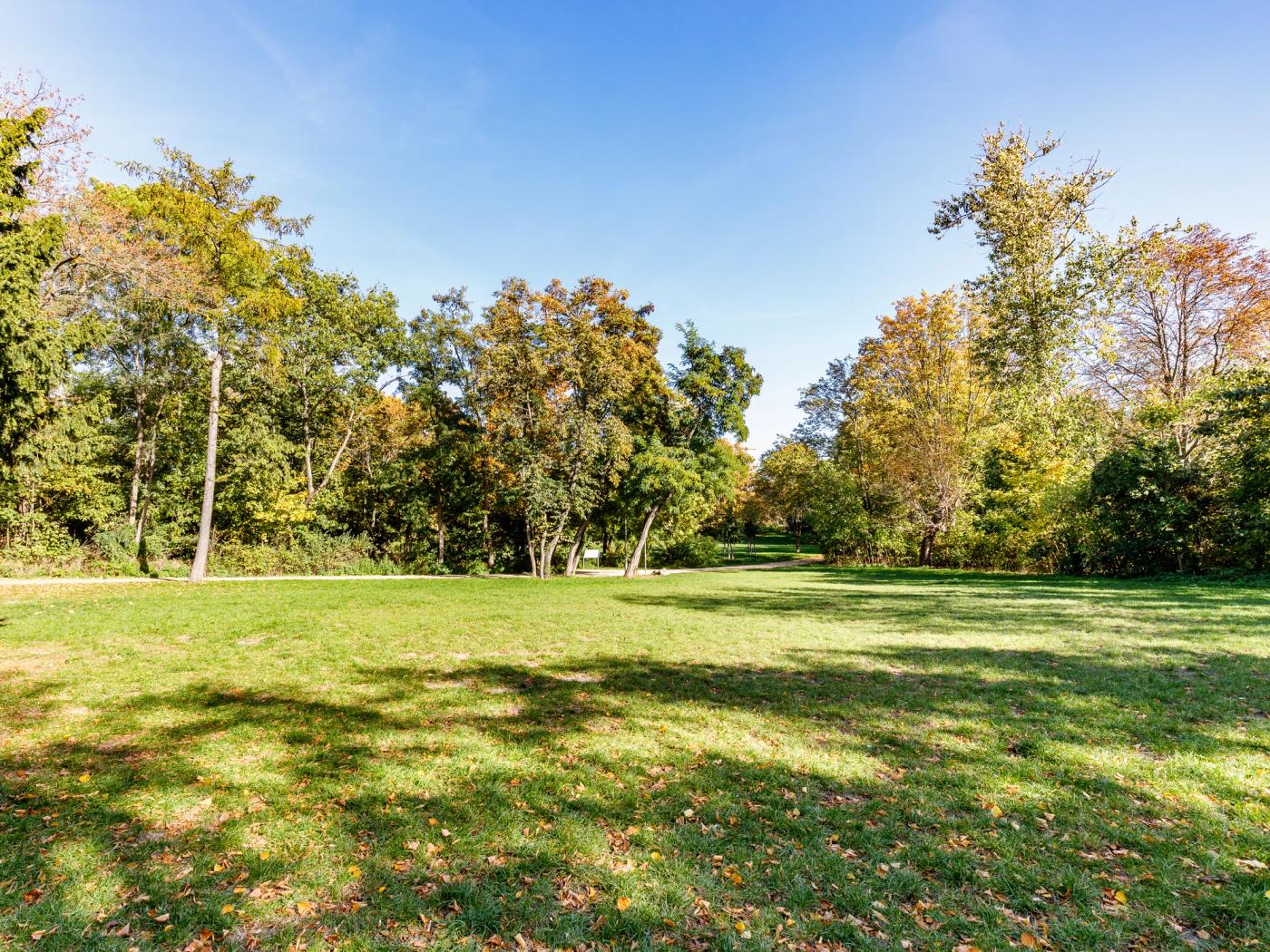 Eindruck vom nahegelegenen Anton-Saefkow-Park Eindruck vom nahegelegenen Anton-Saefkow-Park