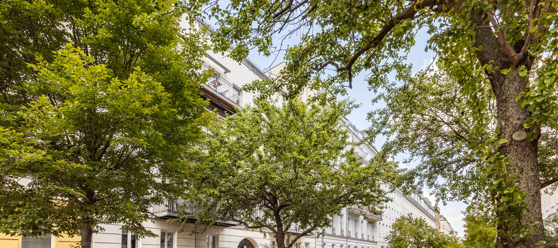 Refurbished Residence with Terrace and Private Garden Between Museum für Naturkunde Berlin and Torstraße