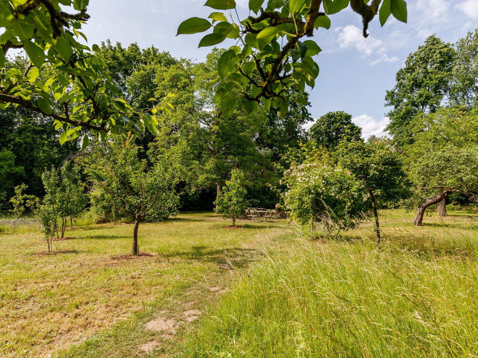 Charmante Remise im UNESCO-Weltkulturerbe: Kamin, Terrasse & idyllische Lage zwischen Jagdschloss Glienicke & Griebnitzsee
