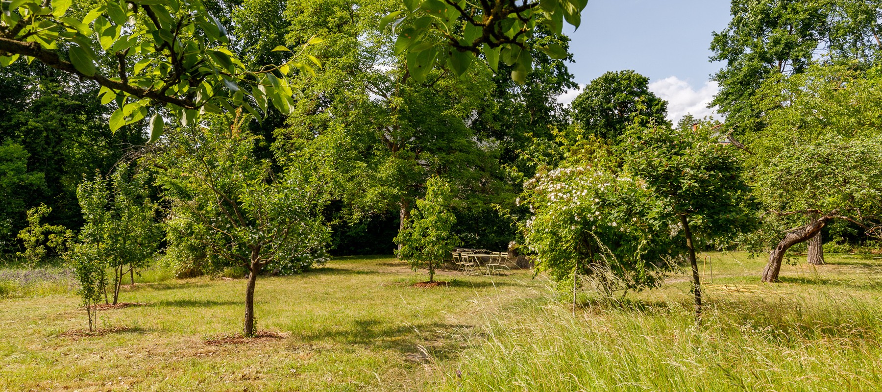 Charmante Remise im UNESCO-Weltkulturerbe: Kamin, Terrasse & idyllische Lage zwischen Jagdschloss Glienicke & Griebnitzsee
