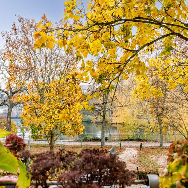 Ausblick Spreeufer Bäume Promenade