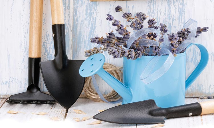 Tareas de jardinería en el embarazo ¿es riesgoso?