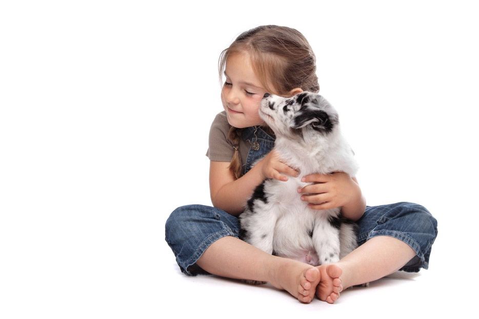 Perros: las mejores razas para niños
