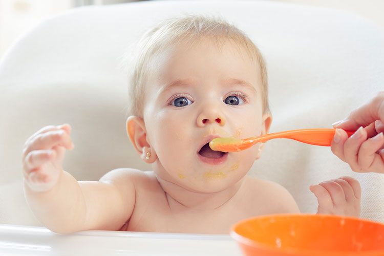 De la leche a la comida